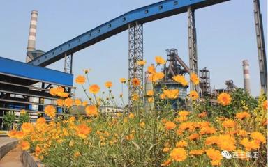 回眸2019(三)|堅(jiān)持綠色發(fā)展理念 推動企業(yè)高質(zhì)量發(fā)展